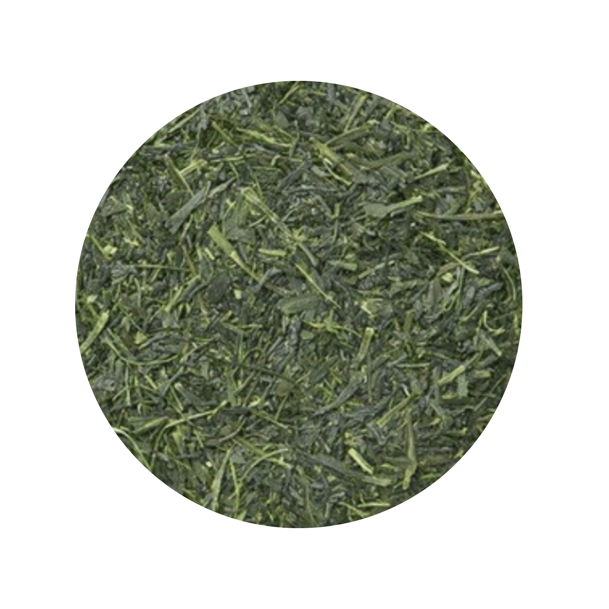 Green Sencha tea leaves