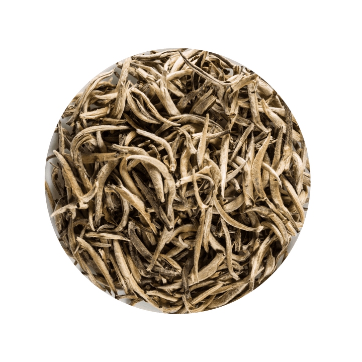 White tea buds on a light gray background