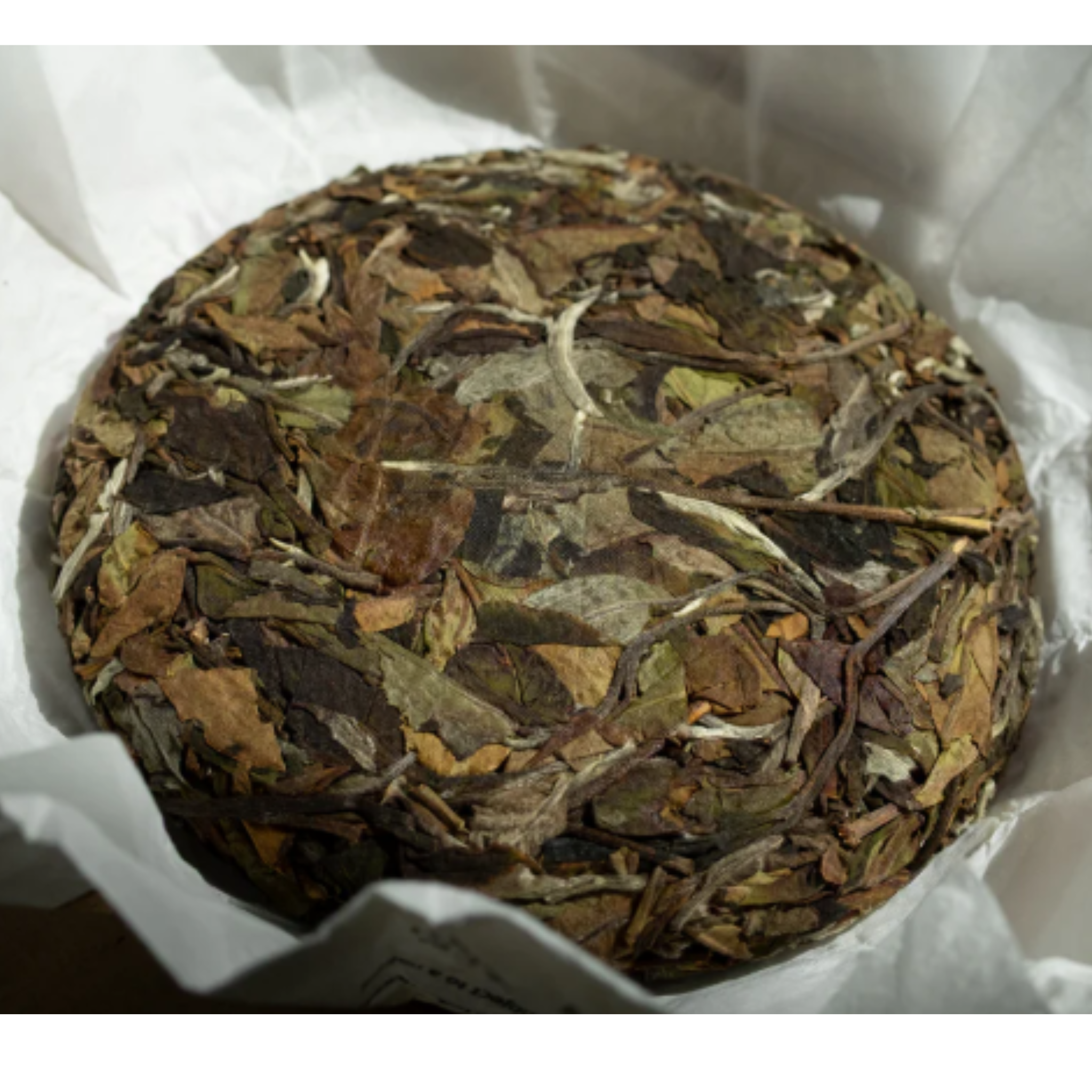 Round compressed white tea cake on a white background