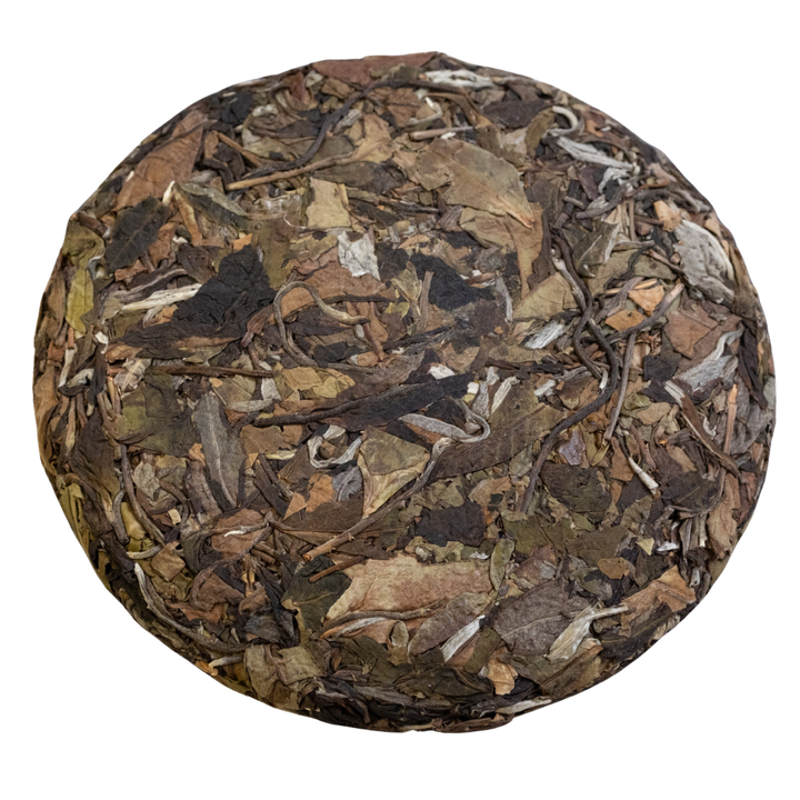 Round compressed white tea cake with various leaf textures