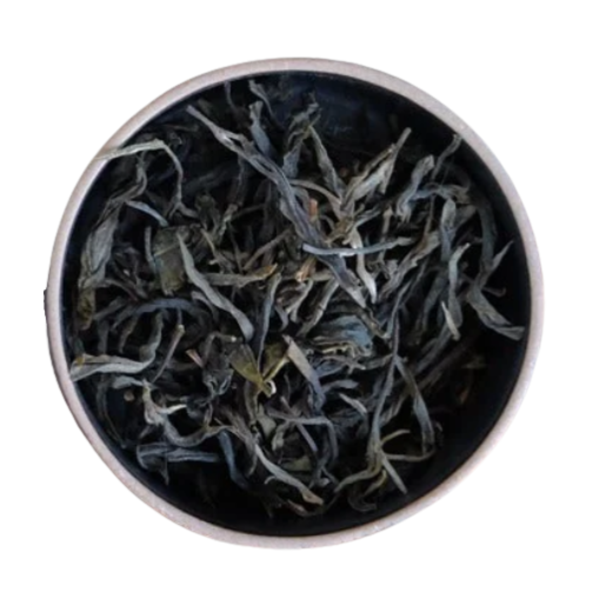 Dried Sheng Pu'er tea leaves in a round container