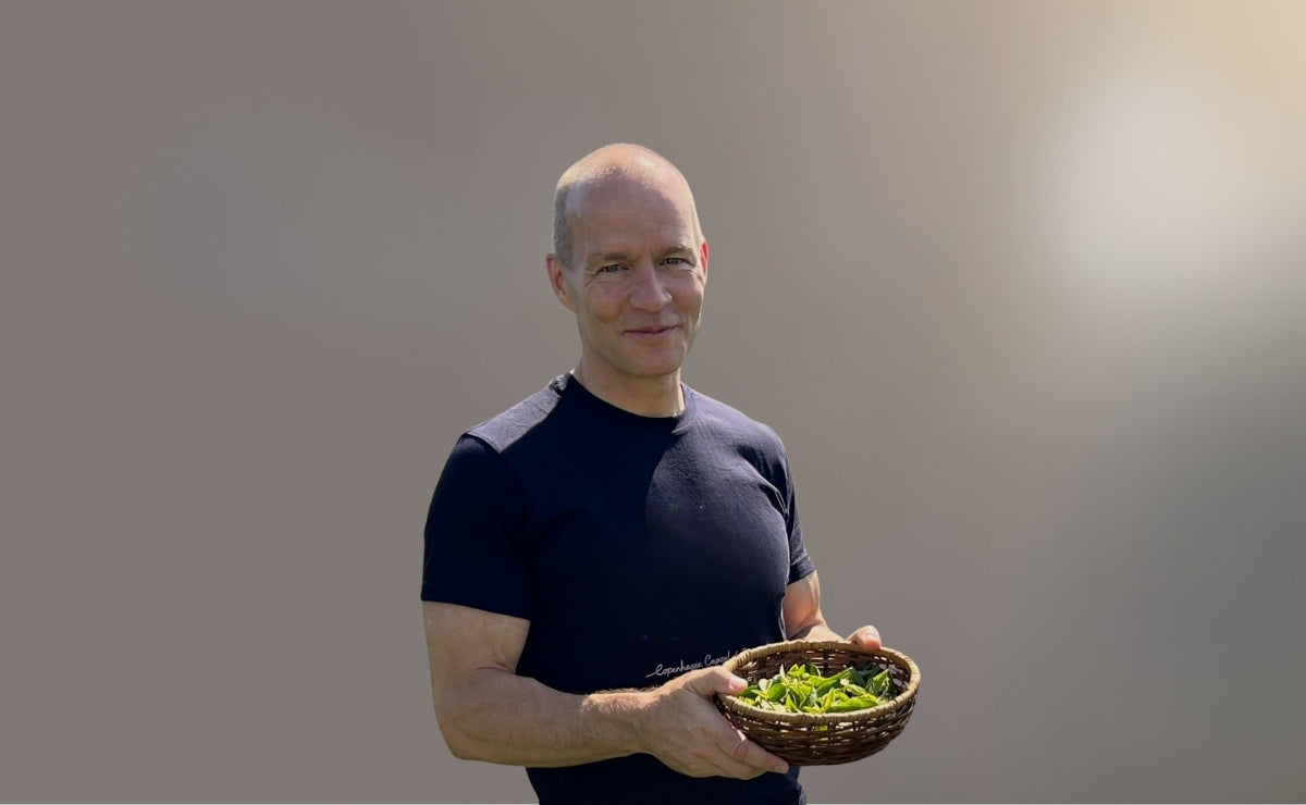 Steen with a plain background