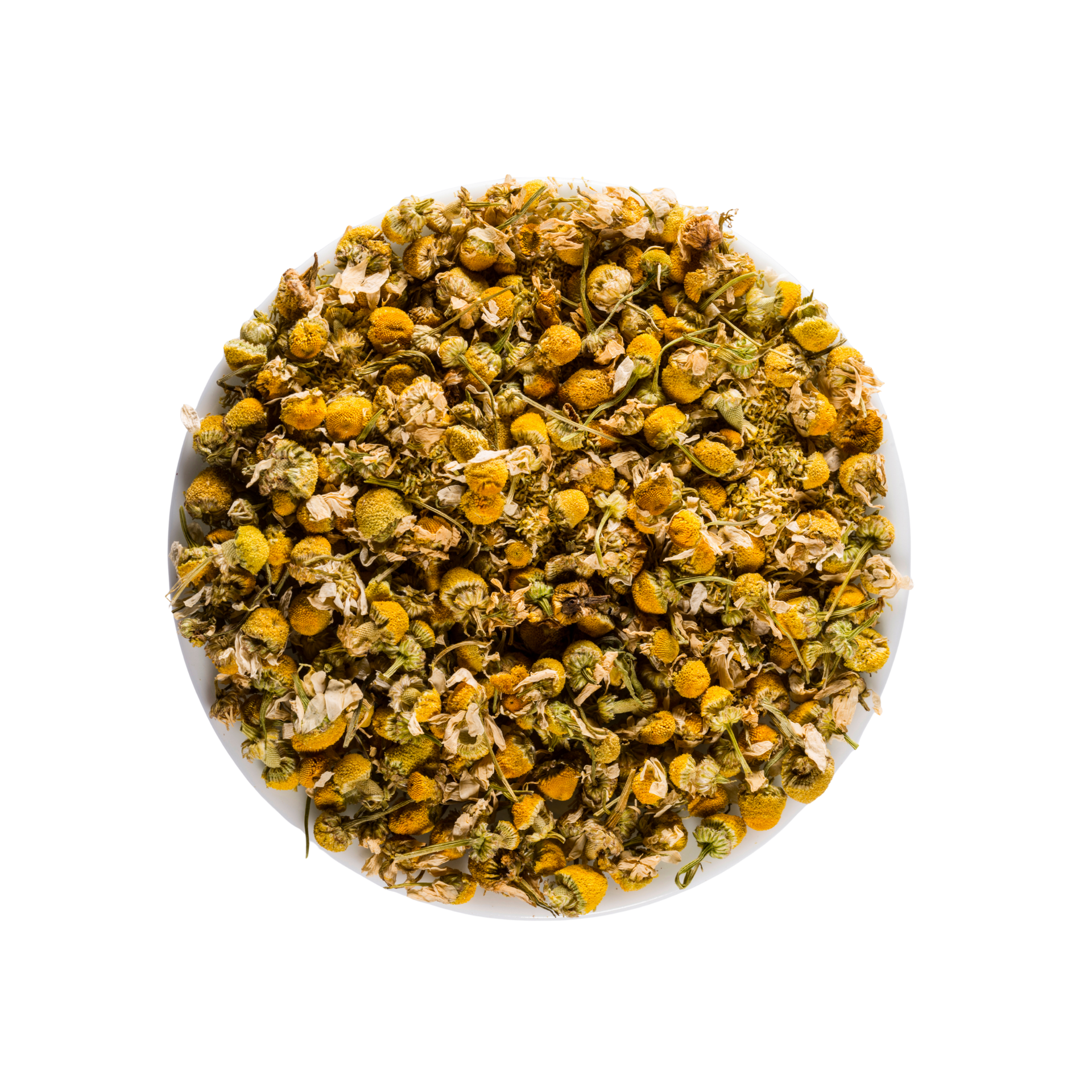 Dried chamomile flowers in a white bow