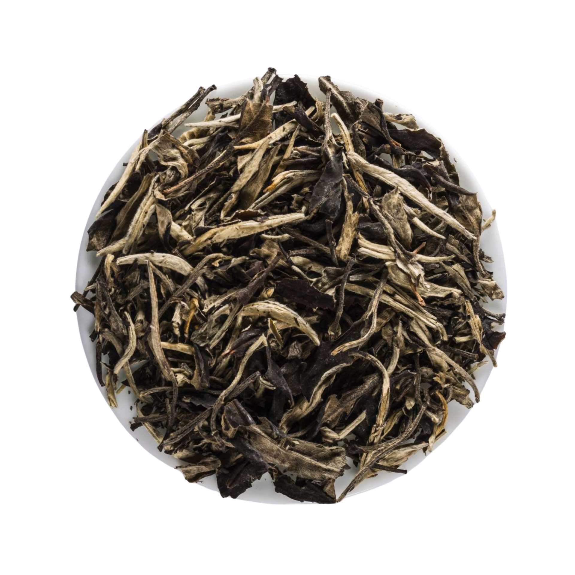 Dry White tea leaves in a white bowl