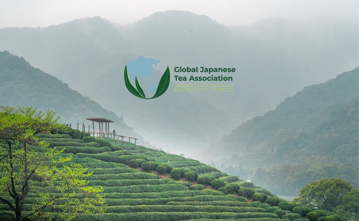 Tea plantation with misty mountains and Global Japanese Tea Association logo