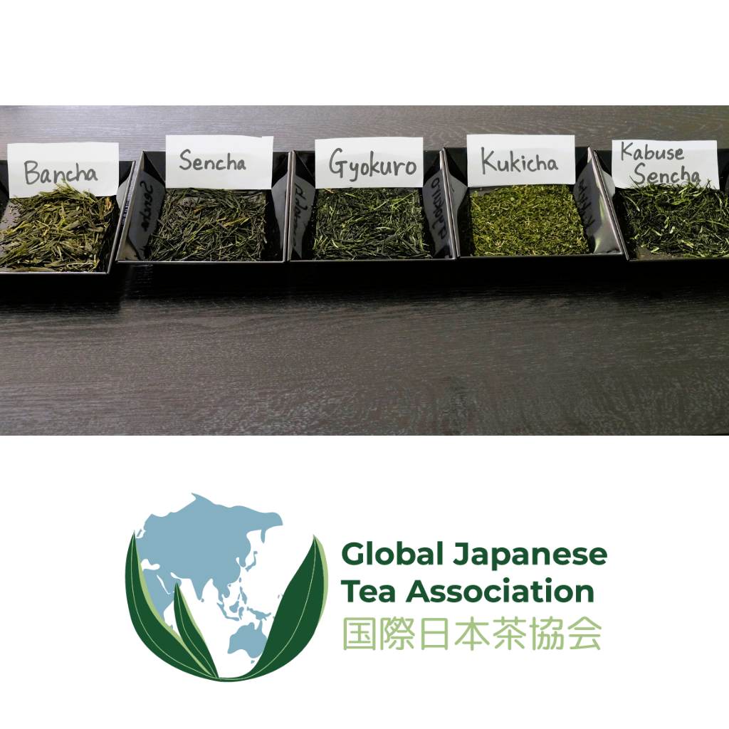 Row of Japanese green tea samples with labels and the Global Japanese Tea Association logo underneath