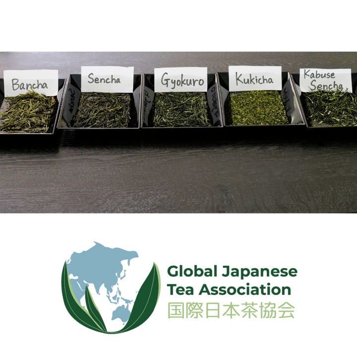 Row of Japanese green tea samples with labels and the Global Japanese Tea Association logo underneath