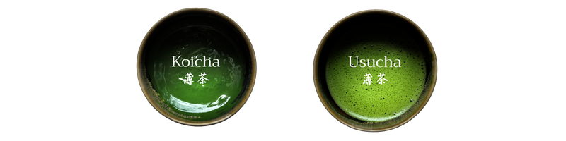 Two bowls of Koficha and Usucha matcha tea next to each other