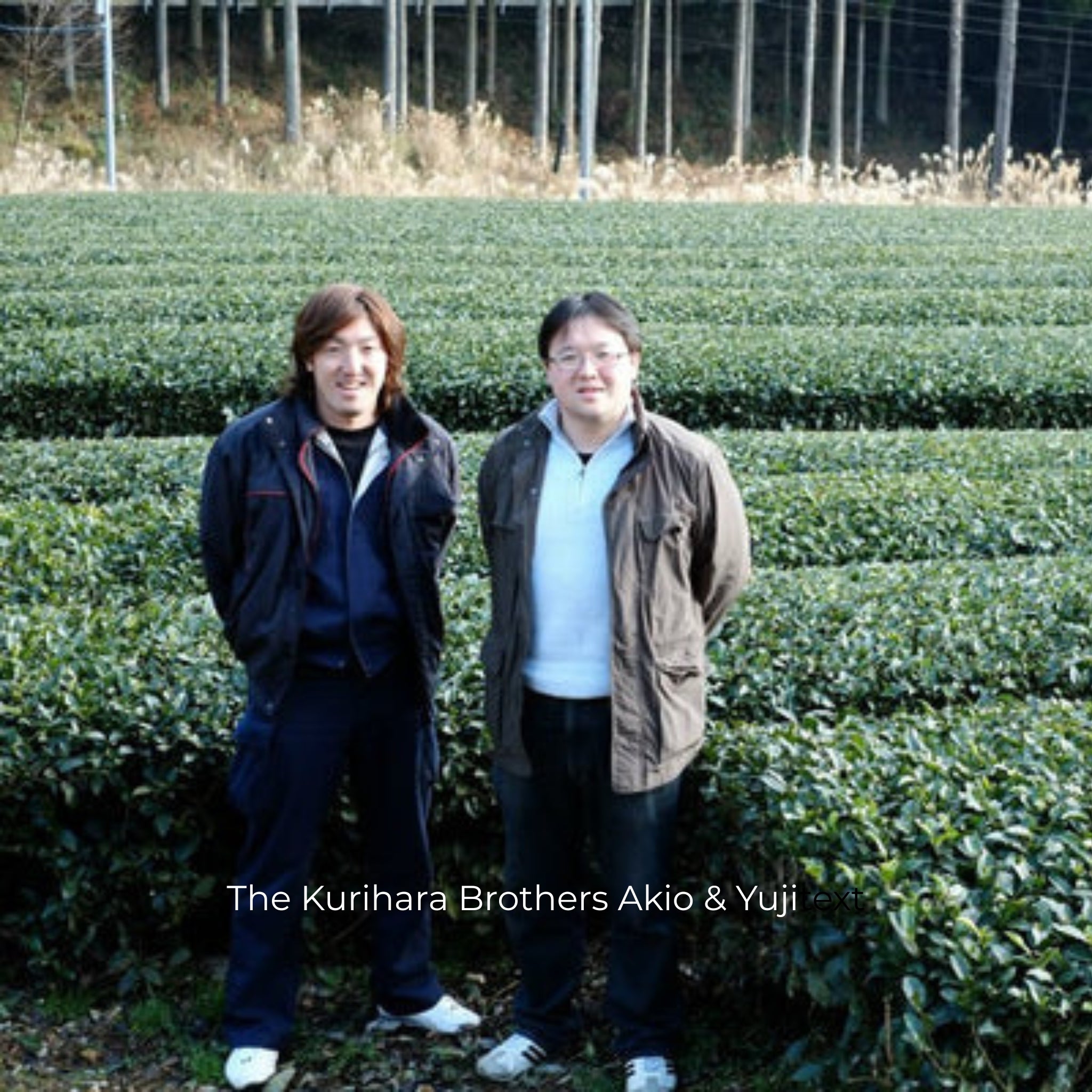 Two men standing outdoors in front of rows of green tea bushes, with a text overlay at the bottom reading 'The Kurihara Brothers Akio & Yuji'