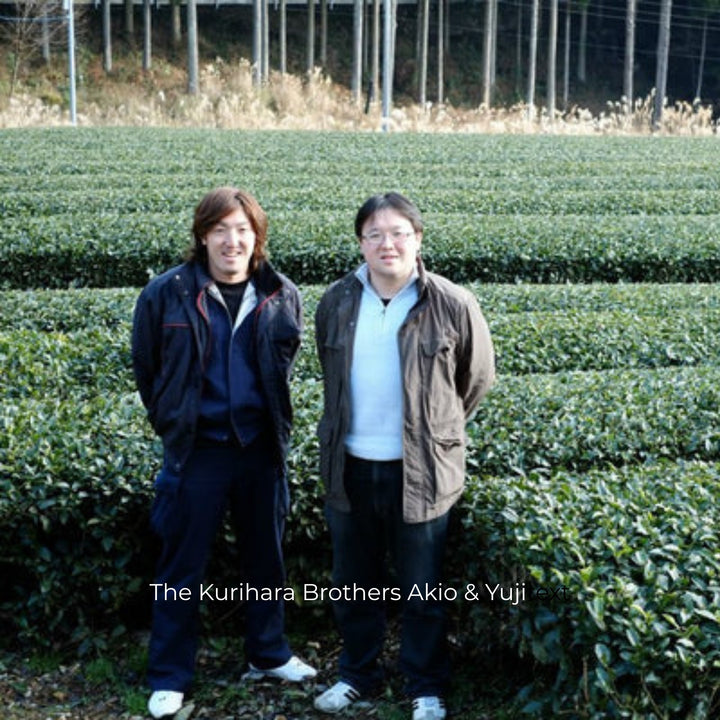 Two men standing outdoors in front of rows of green tea bushes, with a text overlay at the bottom reading 'The Kurihara Brothers Akio & Yuji'