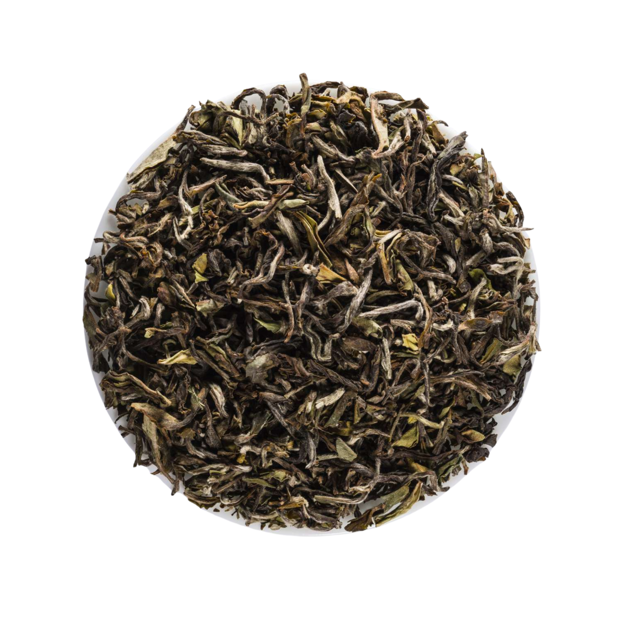 Close-up of dried White tea leaves in a white bowl