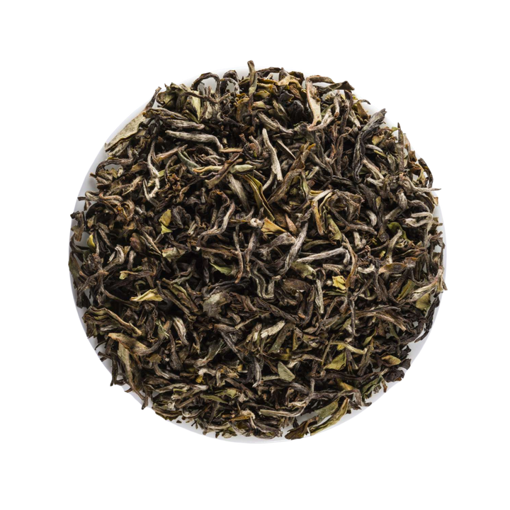 Close-up of dried White tea leaves in a white bowl