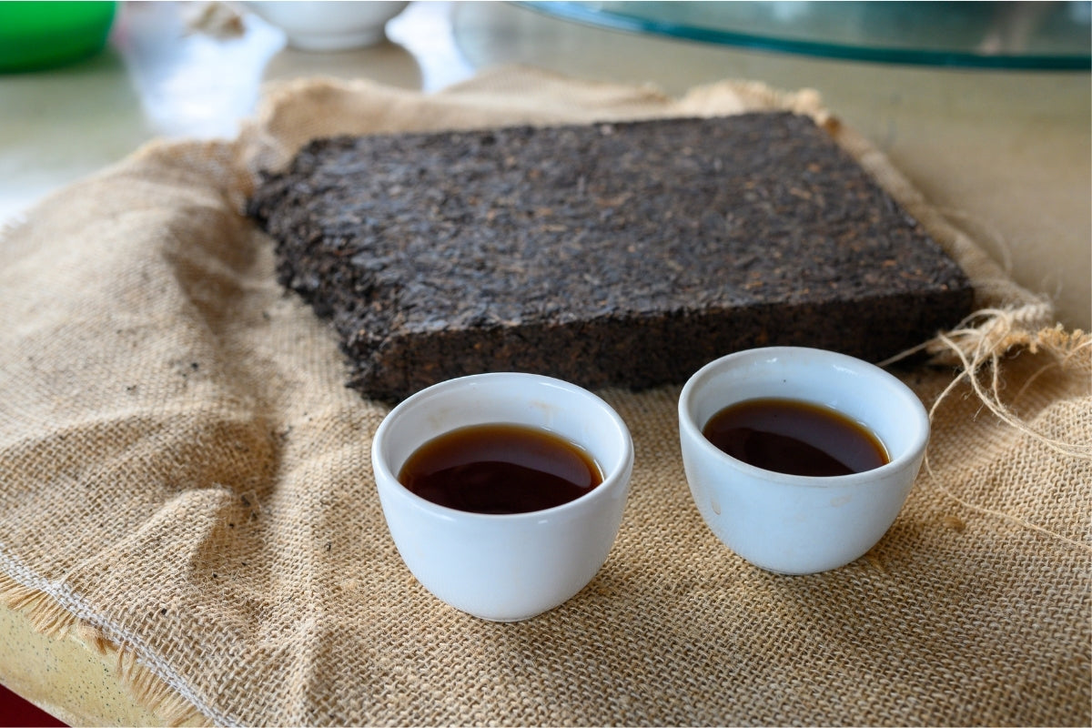 Two white tea cups filled with dark Pu'er tea next to a large block of Pu'er tea on a burlap surface