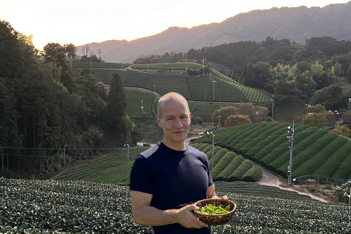 Steen standing in front of a scenic landscape in Japan with tea plantations and mountains