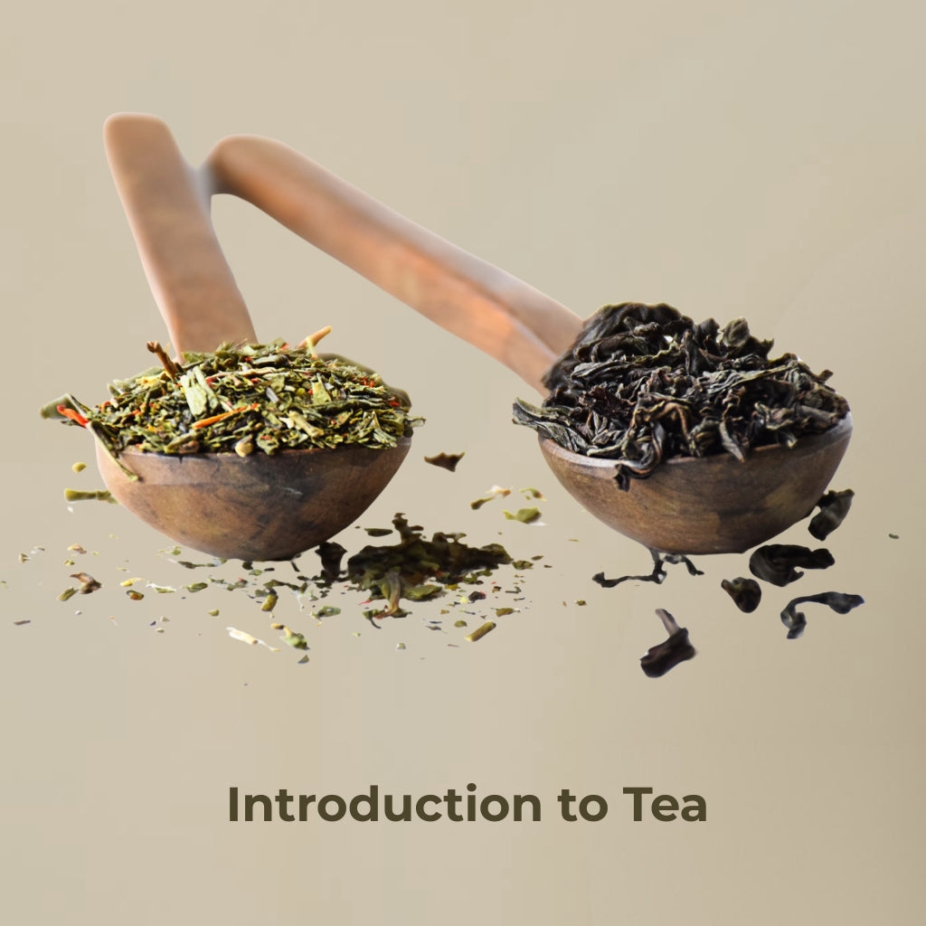 Two wooden spoons filled with herbal and black tea on a neutral background