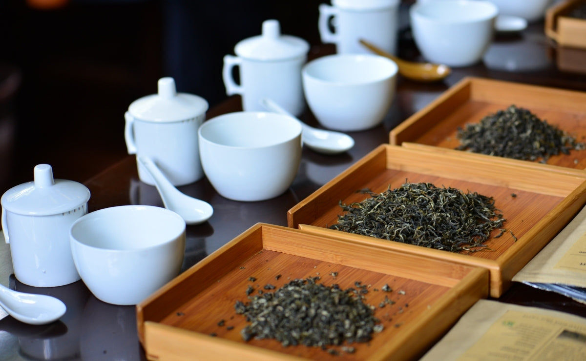 Tea tasting setup with white cups and wooden plates with tea