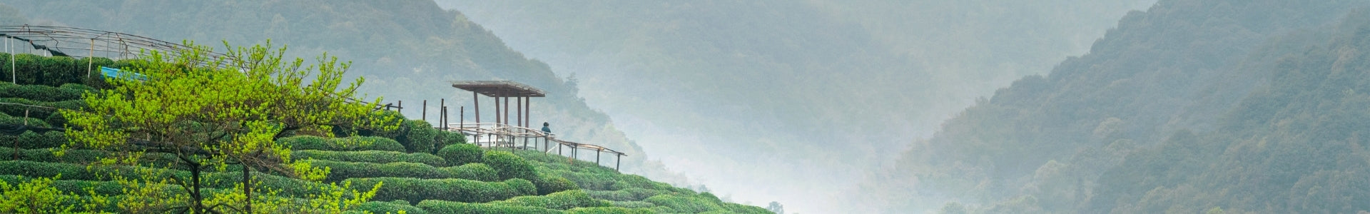 Scenic view of a mountainous landscape with greenery and a small wooden structure.