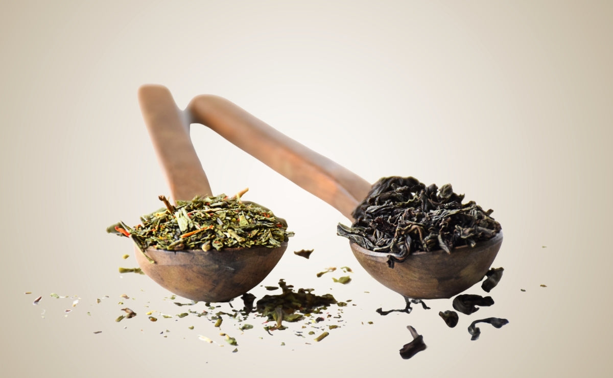 Two wooden spoons filled with Herbal and Black tea leaves on a beige background